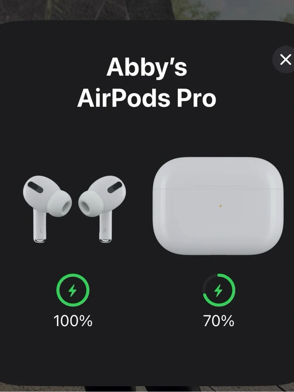 Apple AirPods Pro 1st Gen